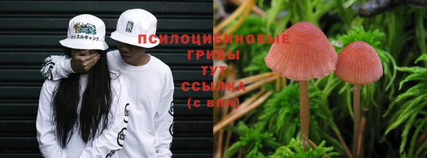 MDMA Богородицк