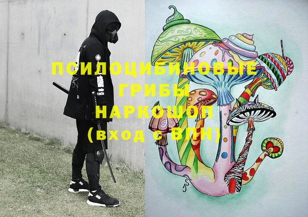 дживик Богородск