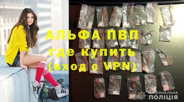 дживик Богородск