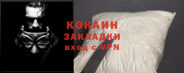 дживик Богородск