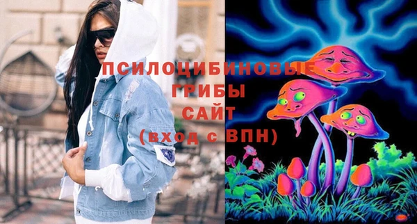MDMA Богородицк