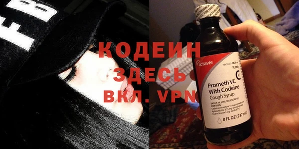 дживик Богородск