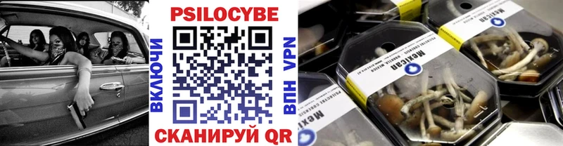 где можно купить   Кондопога  OMG ССЫЛКА  Псилоцибиновые грибы мицелий 
